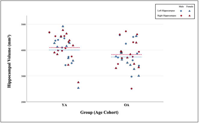 The relationship between cardiovascular risk and lifestyle activities on hippocampal volumes in normative aging