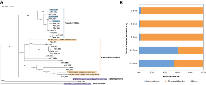 Degenerate PCR Targeting the Major Capsid Protein Gene of HcRNAV and Related Viruses.