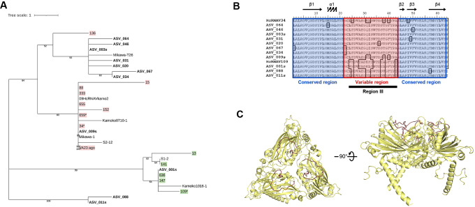 Degenerate PCR Targeting the Major Capsid Protein Gene of HcRNAV and Related Viruses.