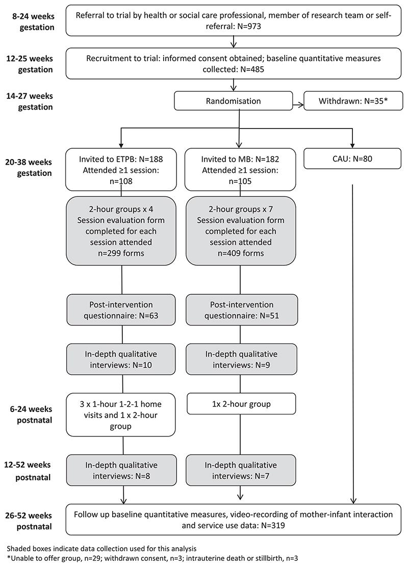 How do Pregnant Women with Additional Health or Social Care Needs Experience Parenting Groups: Evidence from Delivery of Enhanced Triple P for Baby and Mellow Bumps as Part of the Trial of Healthy Relationships Initiatives in the Very Early Years (THRIVE).