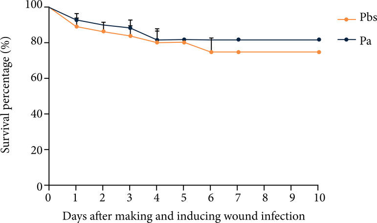 Biofilm model on mice skin wounds.