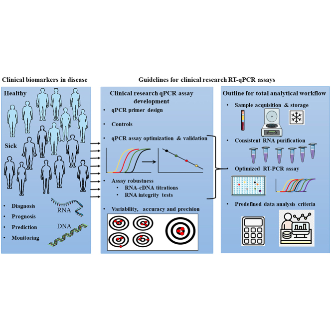 Consensus guidelines for the validation of qRT-PCR assays in clinical research by the CardioRNA consortium.