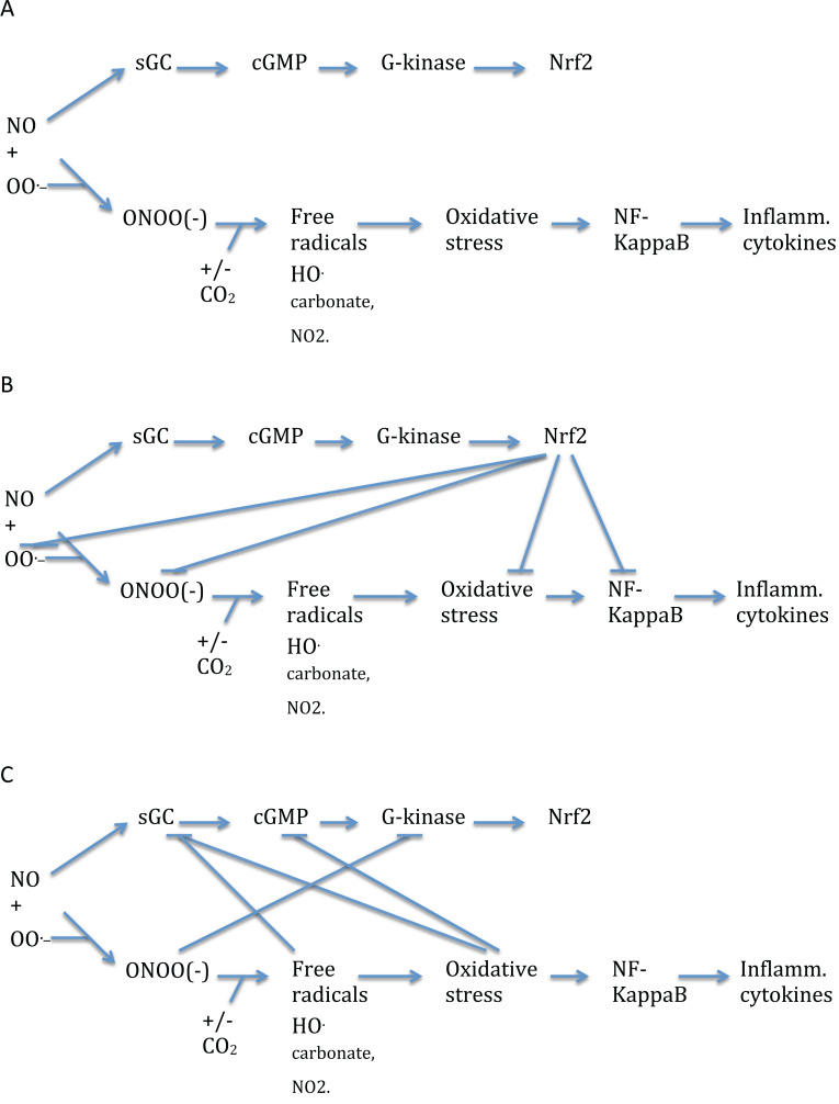 Low Intensity Electromagnetic Fields Act via Voltage-Gated Calcium Channel (VGCC) Activation to Cause Very Early Onset Alzheimer's Disease: 18 Distinct Types of Evidence.