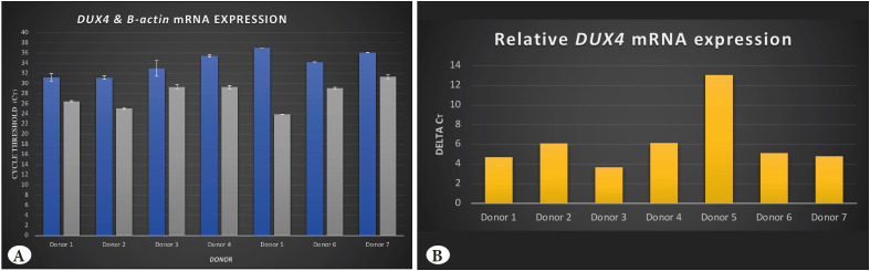 Analysis of DUX4 Expression in Bone Marrow and Re-Discussion of DUX4 Function in the Health and Disease.