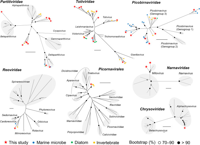 RNA Virosphere in a Marine Zooplankton Community in the Subtropical Western North Pacific.