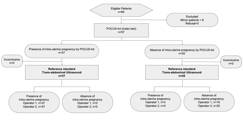 Intrauterine Pregnancy Detection and Gestational Age Assessment During Early Pregnancy by a Handheld Point-Of-Care Ultrasound Device Compared to a High-End Ultrasound System. An Accuracy and Reliability Study.