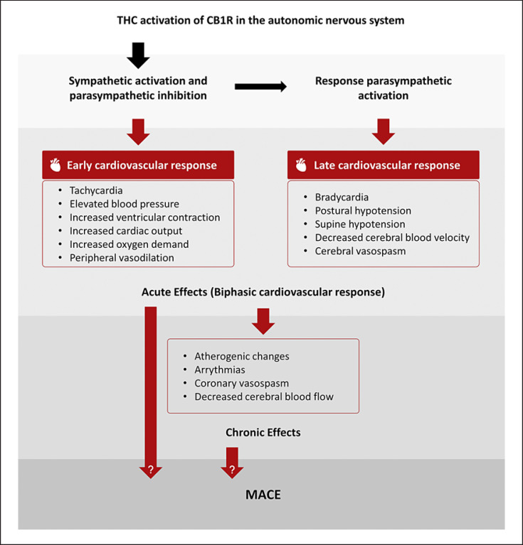 Clinical Considerations for Cannabis Use and Cardiovascular Health.