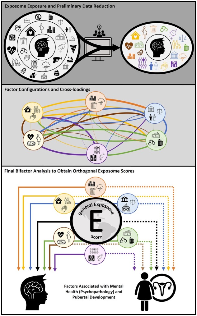 Modeling environment through a general exposome factor in two independent adolescent cohorts.