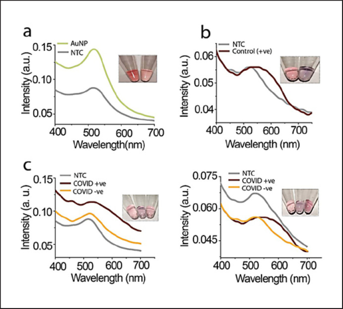 Development of RNA-Based Assay for Rapid Detection of SARS-CoV-2 in Clinical Samples.