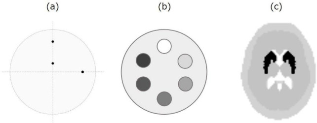 Combination of compressed sensing-based iterative reconstruction and offset acquisition for I-123 FP-CIT SPECT: a simulation study.