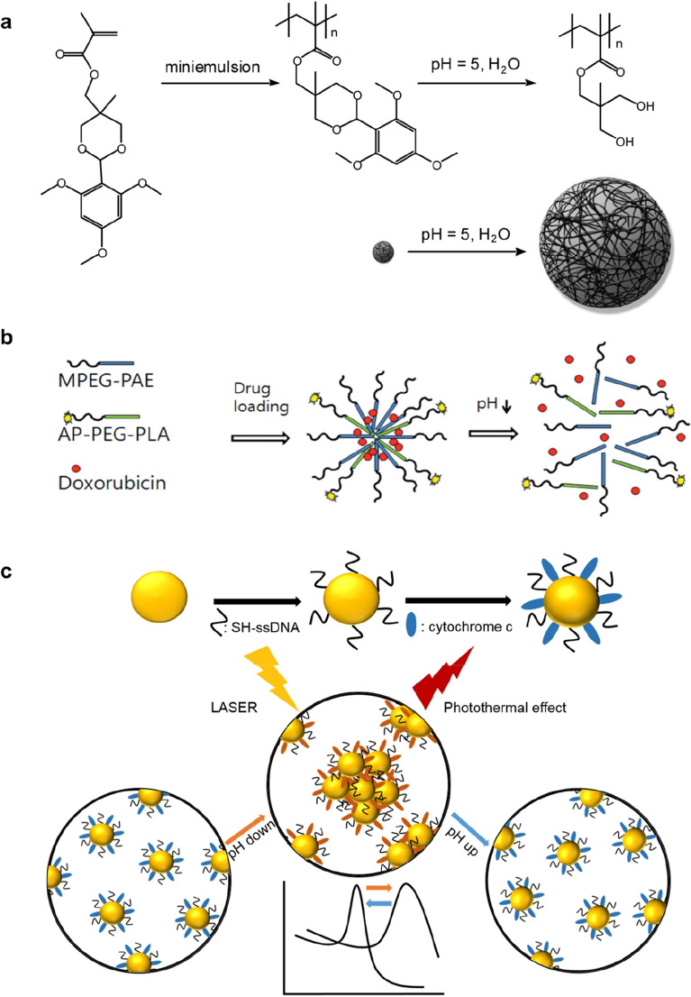 Smart pH-responsive nanomedicines for disease therapy.