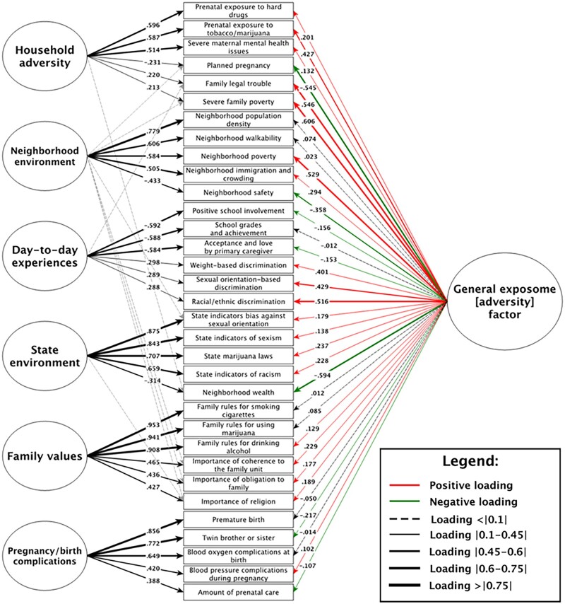 Modeling environment through a general exposome factor in two independent adolescent cohorts.