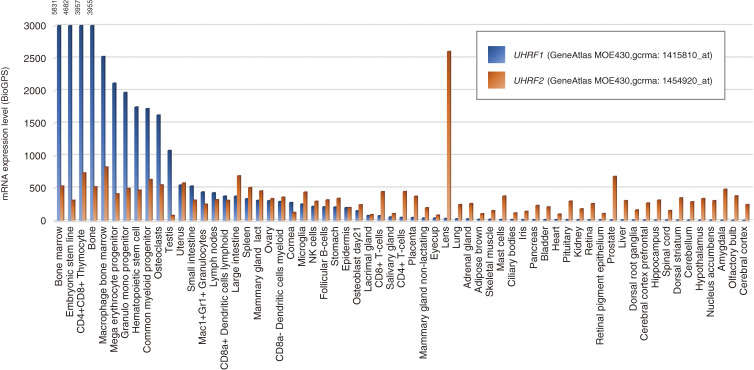 The UHRF protein family in epigenetics, development, and carcinogenesis.