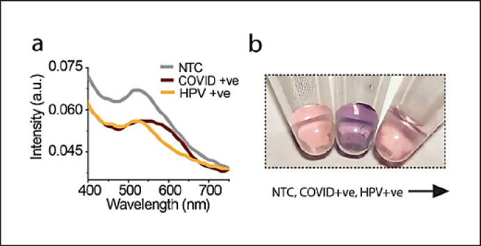 Development of RNA-Based Assay for Rapid Detection of SARS-CoV-2 in Clinical Samples.