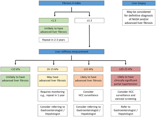 Non-invasive assessment of metabolic dysfunction-associated fatty liver disease.