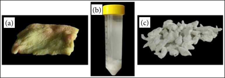 A modified hydrogel production protocol to decrease cellular content.