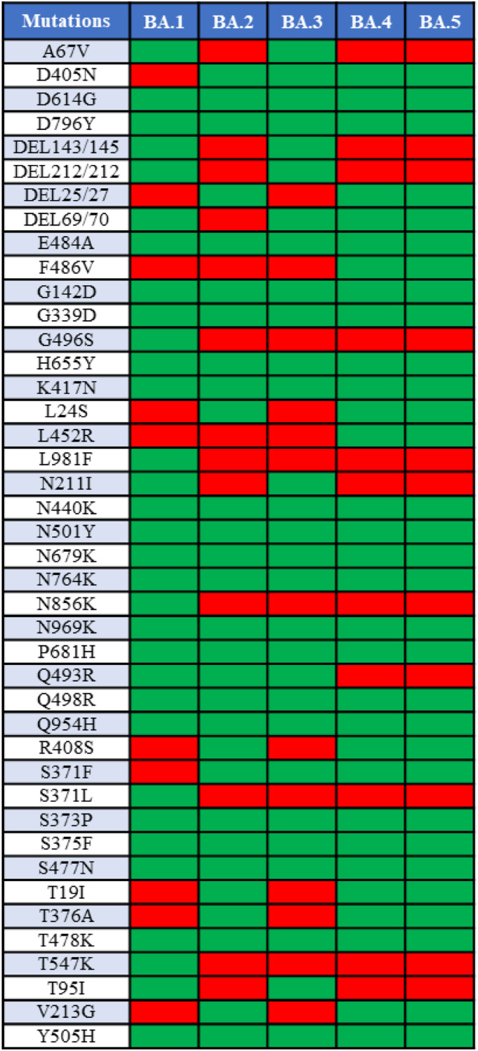 Omicron variant of SARS-CoV-2 infection elicits cross-protective immunity in people who received boosters or infected with variant strains.