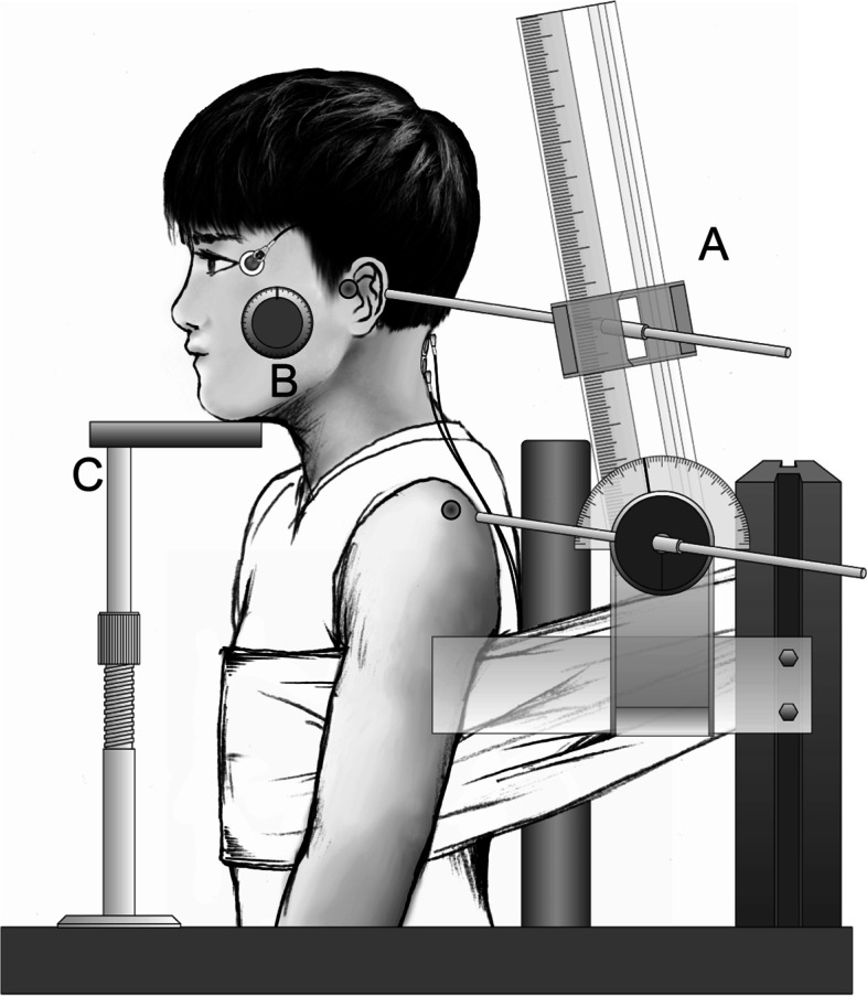 Influence of sports experience on distribution of pro-saccade reaction time under gap condition.