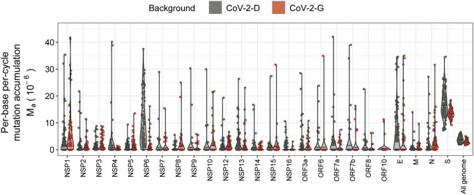 Mutation rate of SARS-CoV-2 and emergence of mutators during experimental evolution.