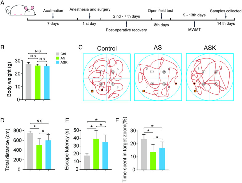 Prophylactic Effects of Sub-anesthesia Ketamine on Cognitive Decline, Neuroinflammation, and Oxidative Stress in Elderly Mice.