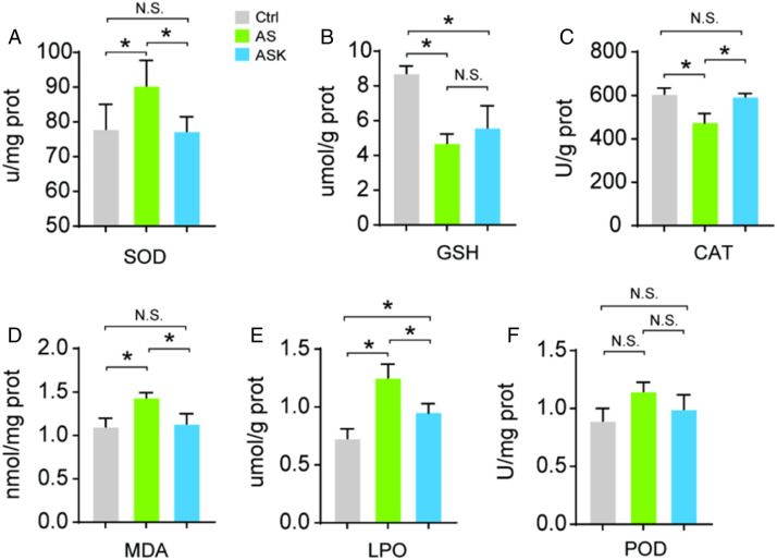 Prophylactic Effects of Sub-anesthesia Ketamine on Cognitive Decline, Neuroinflammation, and Oxidative Stress in Elderly Mice.
