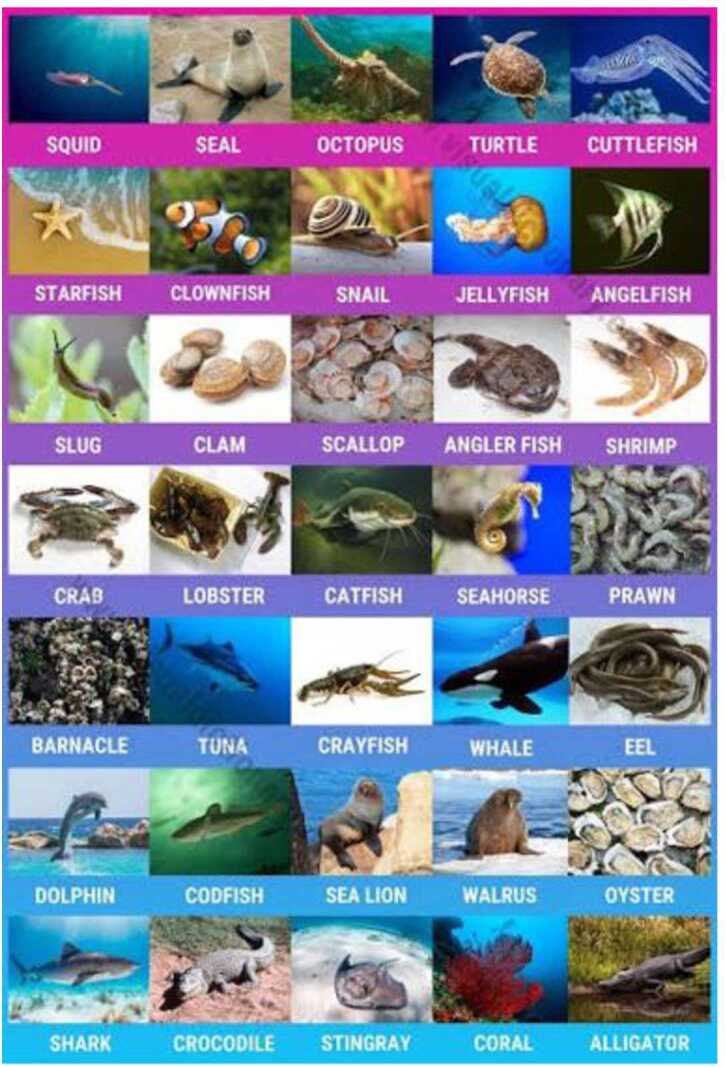 Effects of greenhouse gases and hypoxia on the population of aquatic species: a fractional mathematical model.