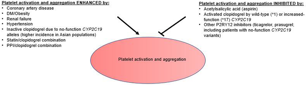 Ticagrelor is more effective than clopidogrel in carrier of nonfunctional <i>CYP2C19</i> allele who has diabetes and acute coronary syndrome - case report and literature review.