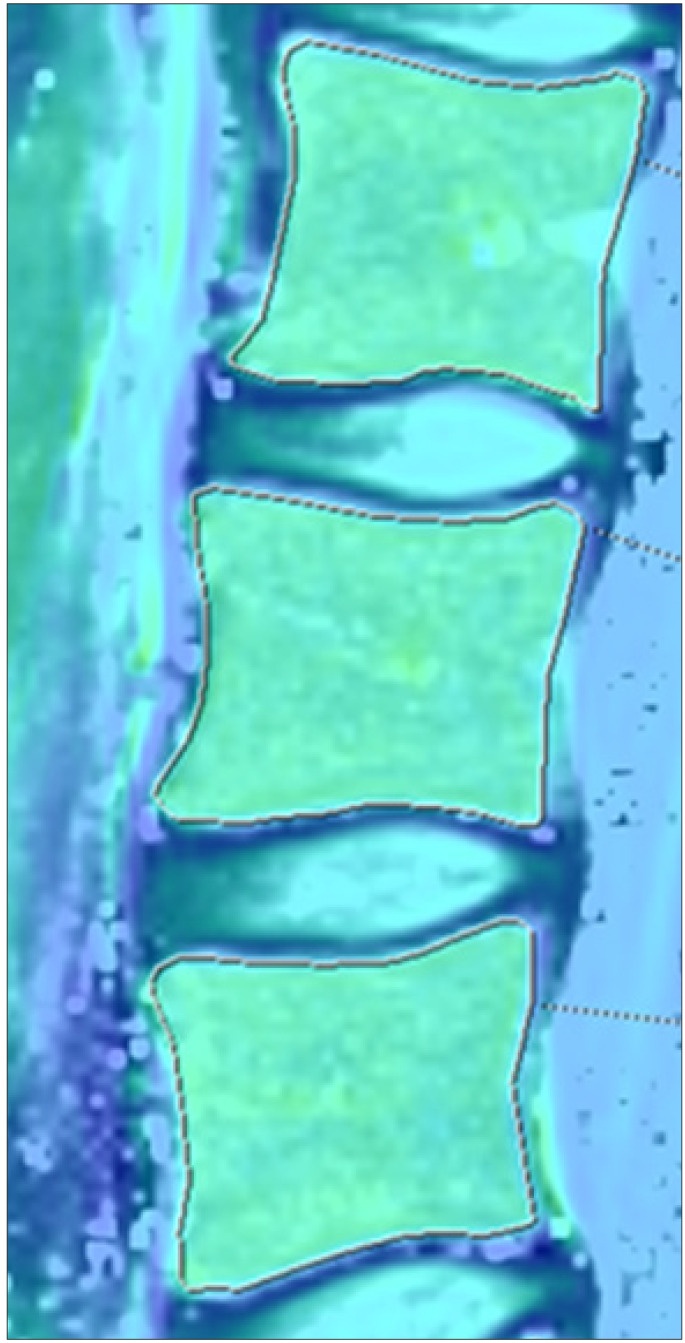 Abstract Image