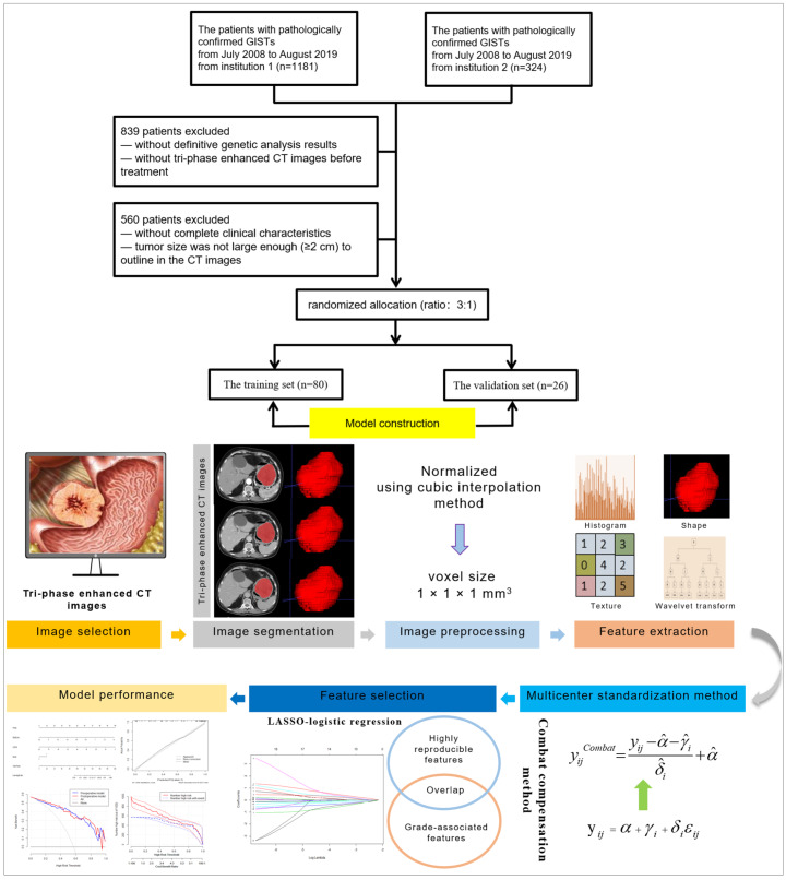 Value of contrast-enhanced CT based radiomic machine learning algorithm in differentiating gastrointestinal stromal tumors with KIT exon 11 mutation: a two-center study.
