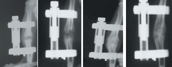 Abstract Image