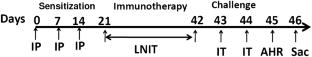 Effects of Local Nasal Immunotherapy with FIP-fve Peptide and Denatured Tyrophagus putrescentiae for Storage Mite-Induced Airway Inflammation