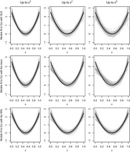 Ranked sparsity: a cogent regularization framework for selecting and estimating feature interactions and polynomials