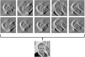 Subtomogram analysis: The sum of a tomogram’s particles reveals molecular structure in situ