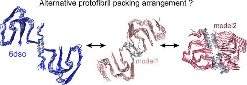 SAA fibrils involved in AA amyloidosis are similar in bulk and by single particle reconstitution: A MAS solid-state NMR study