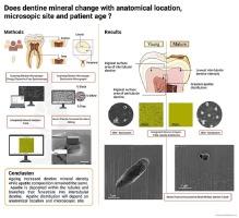 Does dentine mineral change with anatomical location, microscopic site and patient age?