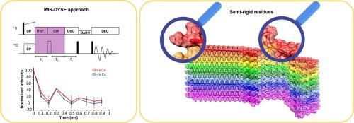 Selective observation of semi-rigid non-core residues in dynamically complex mutant huntingtin protein fibrils