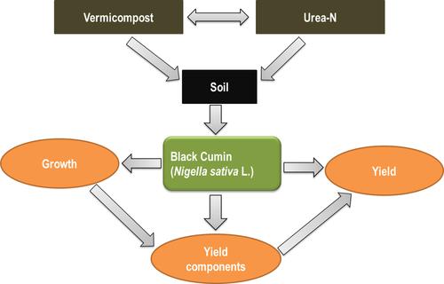 Response of black cumin to vermicompost and nitrogen fertilizer