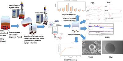 Inhalation potential of N-Acetylcysteine loaded PLGA nanoparticles for the management of tuberculosis: In vitro lung deposition and efficacy studies