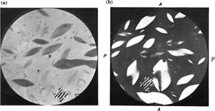 Hans Zocher and mineral liquid crystals