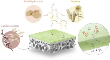 Ultrathin 12-nm-thick solvent-resistant composite membranes from biosourced dialdehyde starch and priamine building blocks