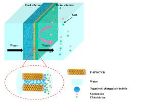 Air nanobubbles (ANBs) incorporated sandwich-structured carbon nanotube membranes (CNM) for highly permeable and stable forward osmosis