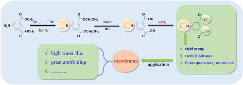 Synthesis and application of a novel monomer 5-(1-Pyrrolidinyl)-1,3-benzenedicarbonyl dichloride in membranes