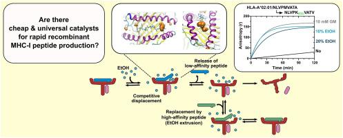 Rapid peptide exchange on MHC class I by small molecules elucidates dynamics of bound peptide