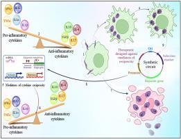 Mechanobiology of immune cells: Messengers, receivers and followers in leishmaniasis aiding synthetic devices