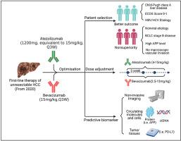 Clinically approved combination immunotherapy: Current status, limitations, and future perspective