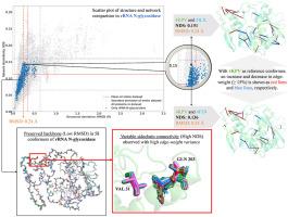 Understanding structural variability in proteins using protein structural networks