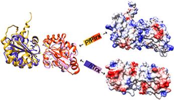 Crystal structure of plasmoredoxin, a redox-active protein unique for malaria parasites