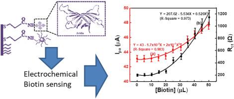 Electrochemical sensing of biotin-avidin interaction on gold electrode modified by silver nanoparticles through covalent co-assembling