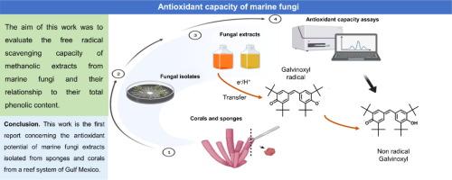 Antioxidant capacity of fungi associated with corals and sponges of the reef system of Veracruz, Mexico