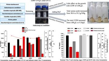 Optimization of culture conditions of screened Galactomyces candidum for the production of single cell protein from biogas slurry